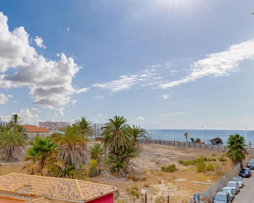 Apartamento Torrevieja Alicante