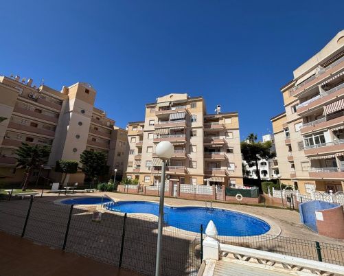 apartments torrevieja 