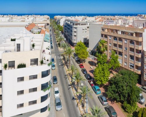 apartments torrevieja 